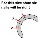 shoe12.gif (2516 bytes)