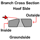 shoe14.gif (2755 bytes)