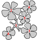 rose0002.gif (3409 bytes)