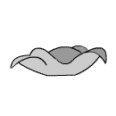 rose0021.gif (1596 bytes)