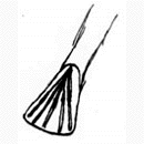 fish4.gif (4813 bytes)