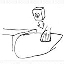 fish5.gif (3743 bytes)