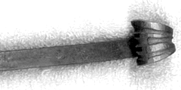 fish8.gif (12151 bytes)