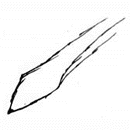 flair4.gif (3181 bytes)