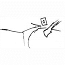 flair5.gif (3180 bytes)