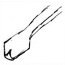 flair6.gif (3460 bytes)