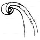 roll6.gif (4331 bytes)