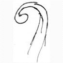 snub12.gif (3807 bytes)