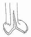 troll10.jpg (1690 bytes)