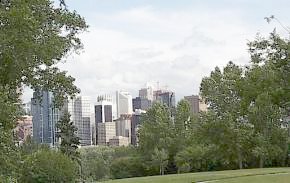 City Scape