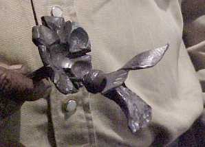 Bill Epps hummingbird, photo by James Joyce