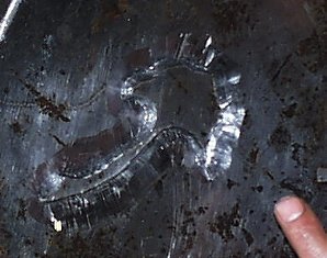 Ward's gingo leaf in progress